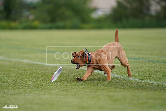 RielVisuals_20240525_160839_SJR03568