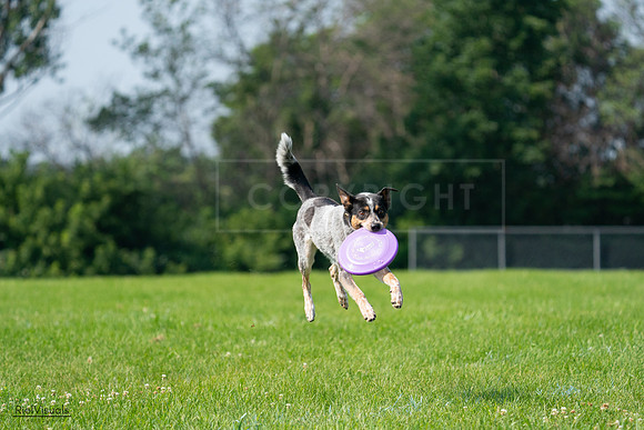 RielVisuals_20240728_103238_SJR08438
