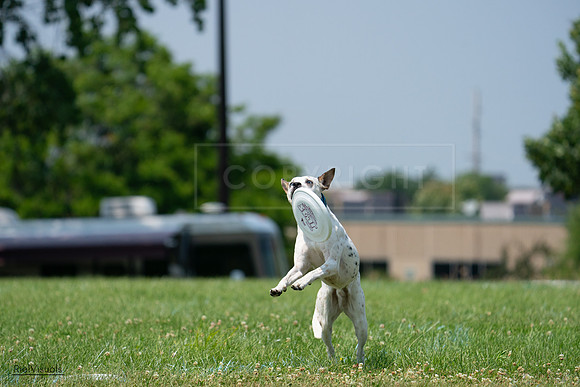 RielVisuals_20240727_134636_SJR08400