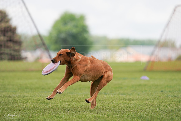 RielVisuals_20240527_141136_SJR01891