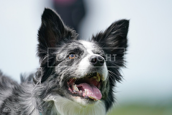 RielVisuals_20240525_124306_SJR00965