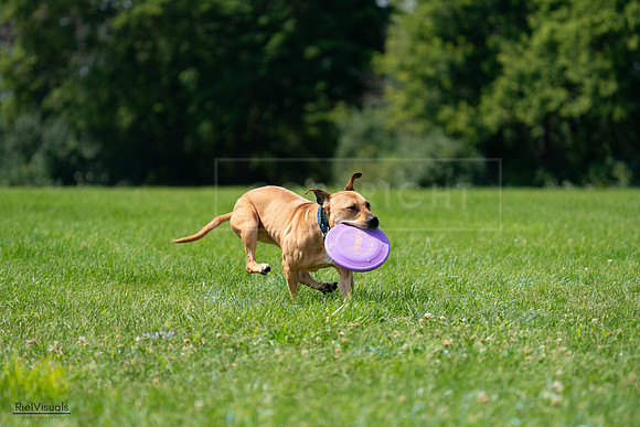 RielVisuals_20240728_114519_SJR01857