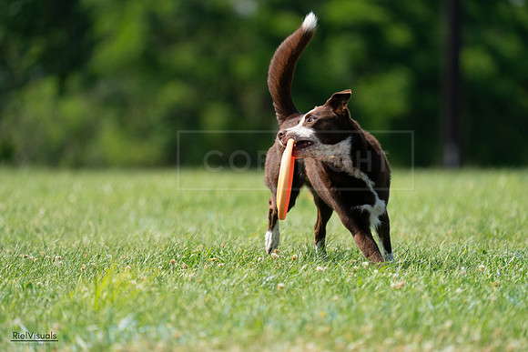 RielVisuals_20240728_152030_SJR00626