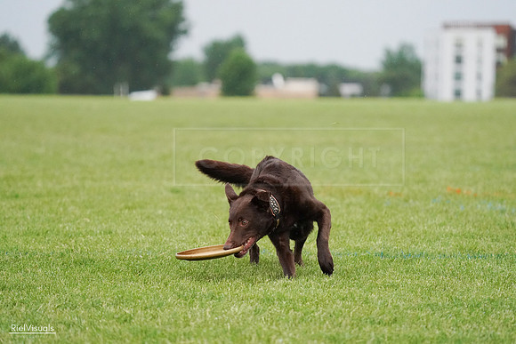 RielVisuals_20240527_090753_SJR06072
