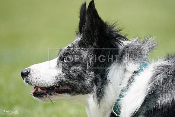 RielVisuals_20240525_124320_SJR00974