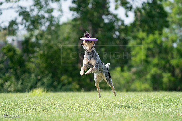RielVisuals_20240728_143541_SJR08656