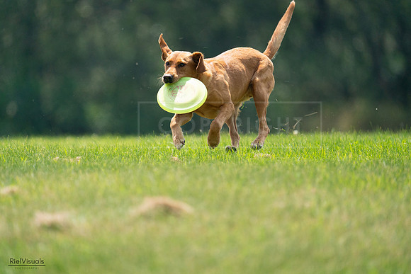 RielVisuals_20240727_122411_SJR05464