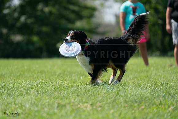 RielVisuals_20240728_144442_SJR09002
