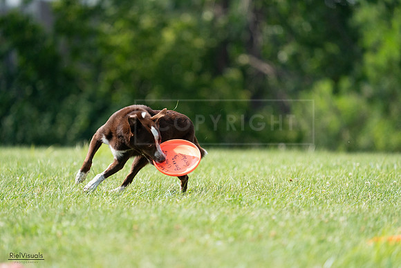 RielVisuals_20240728_152049_SJR00637
