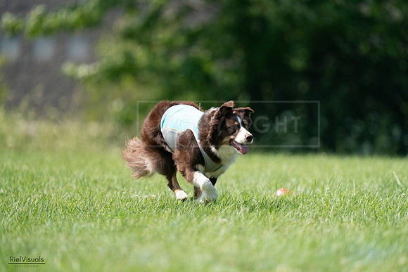RielVisuals_20240728_144643_SJR09090