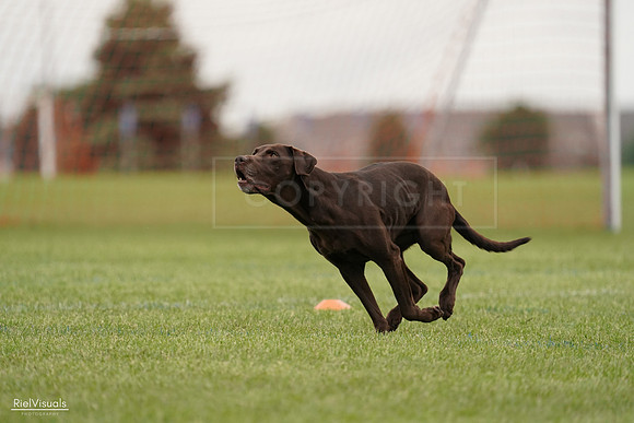 RielVisuals_20240527_132518_SJR09686