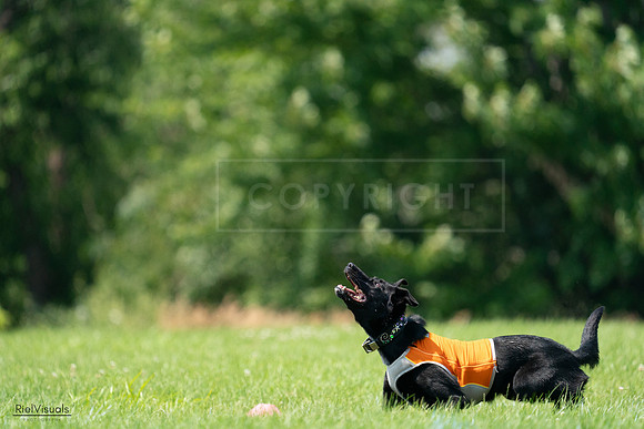 RielVisuals_20240727_134501_SJR08300