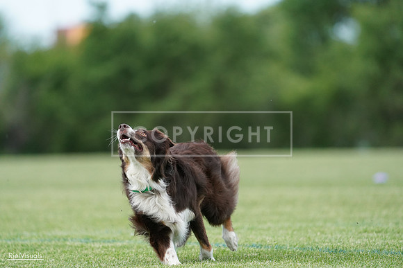 RielVisuals_20240525_090414_SJR09564