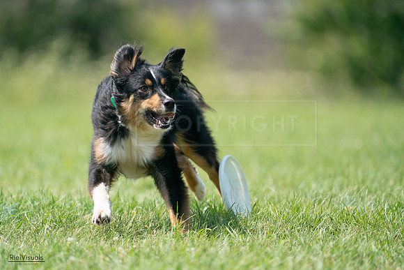 RielVisuals_20240728_143222_SJR08475