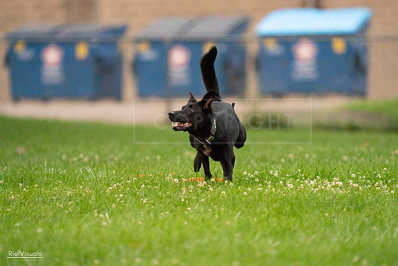 RielVisuals_20240722_195405_SJR02358