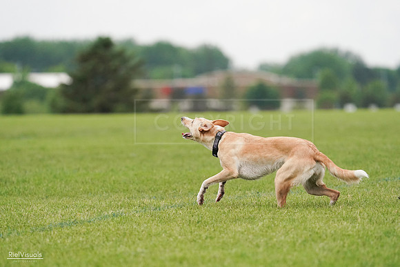 RielVisuals_20240527_110813_SJR03163