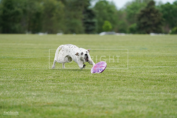 RielVisuals_20240525_160331_SJR03336