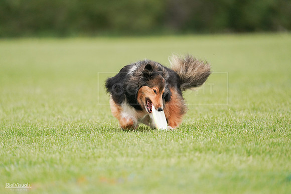RielVisuals_20240527_140937_SJR01688