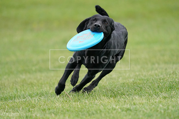 RielVisuals_20240525_163946_SJR05121