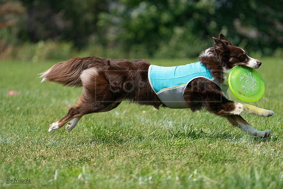RielVisuals_20240728_120357_SJR02812