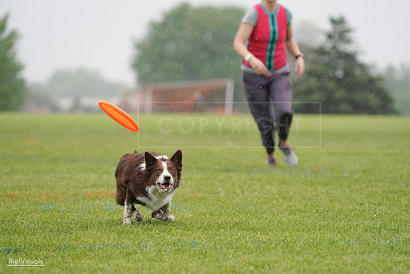 RielVisuals_20240527_104358_SJR01405