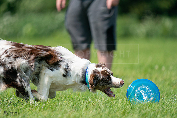 RielVisuals_20240728_114343_SJR01777