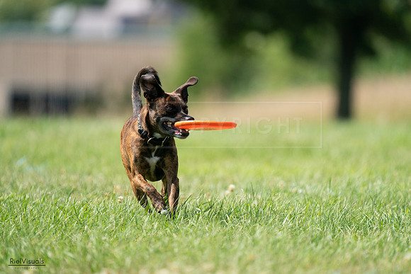 RielVisuals_20240728_151745_SJR00515