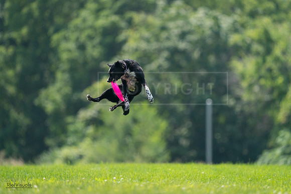 RielVisuals_20240727_125932_SJR06484