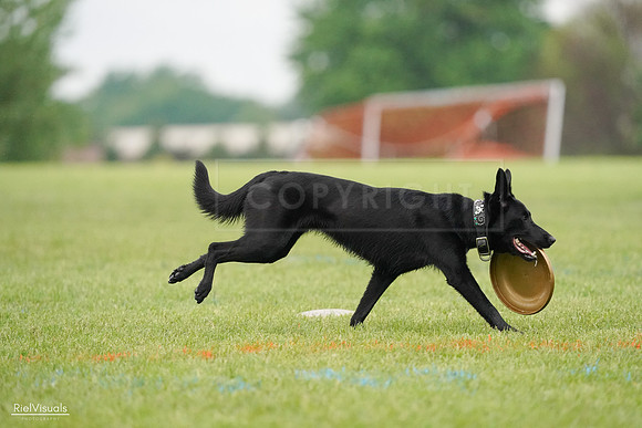RielVisuals_20240527_110436_SJR02856