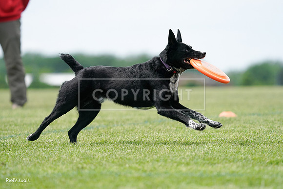 RielVisuals_20240525_124940_SJR01296