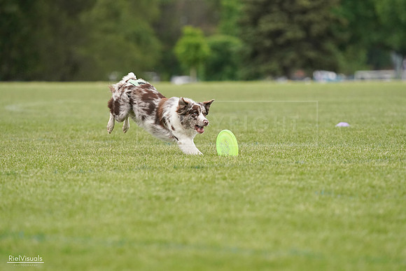 RielVisuals_20240526_110122_SJR00158