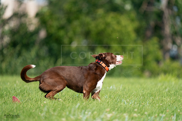 RielVisuals_20240727_100724_SJR08610