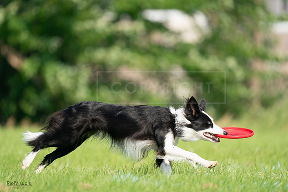 RielVisuals_20240727_092730_SJR06452