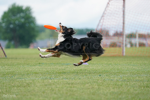 RielVisuals_20240527_142349_SJR02563