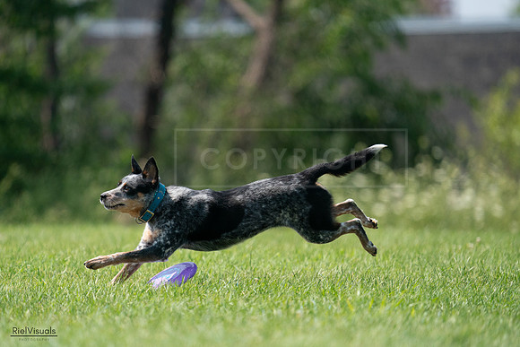 RielVisuals_20240728_145200_SJR09365