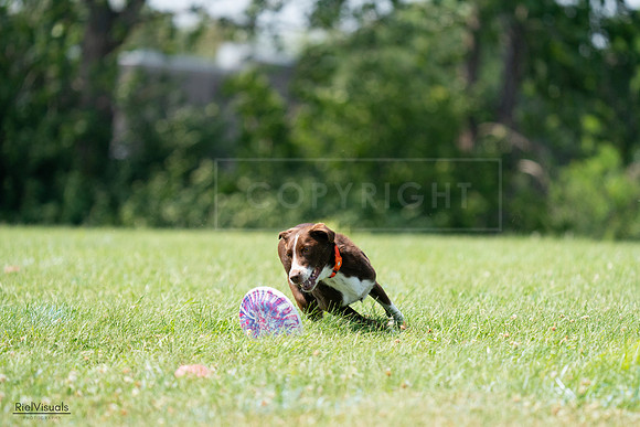 RielVisuals_20240728_144915_SJR09244