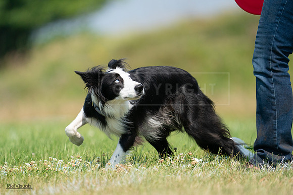 RielVisuals_20240727_114752_SJR03954