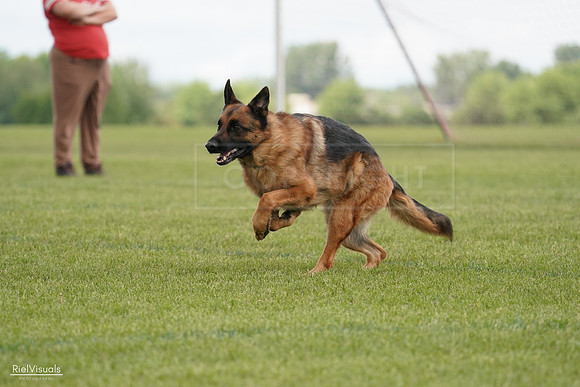 RielVisuals_20240527_140700_SJR01456