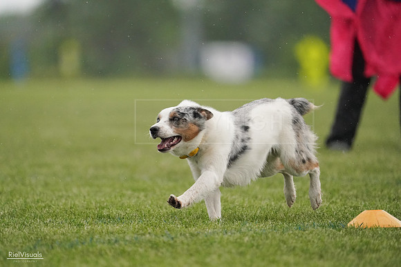 RielVisuals_20240526_092934_SJR00192