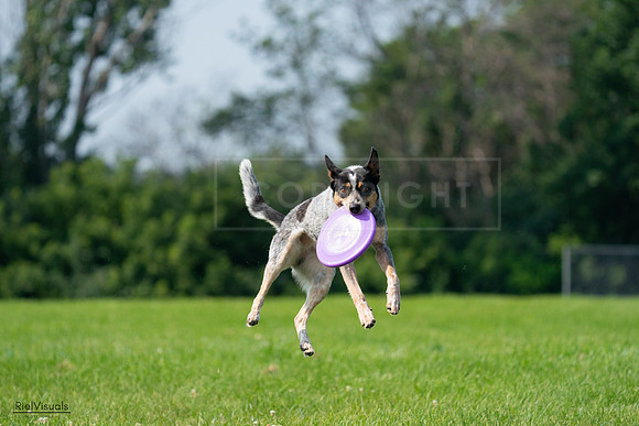 RielVisuals_20240728_103216_SJR08408
