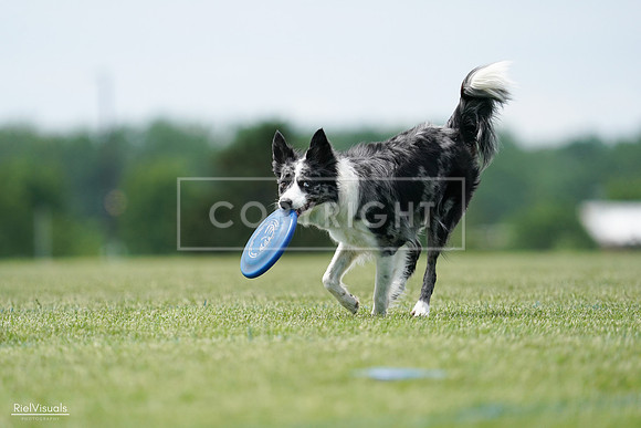 RielVisuals_20240525_124449_SJR01151