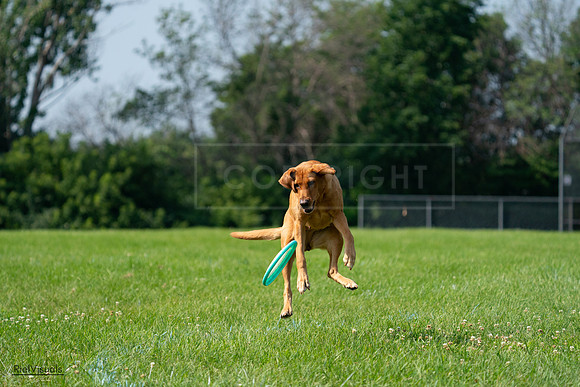 RielVisuals_20240728_103943_SJR08782