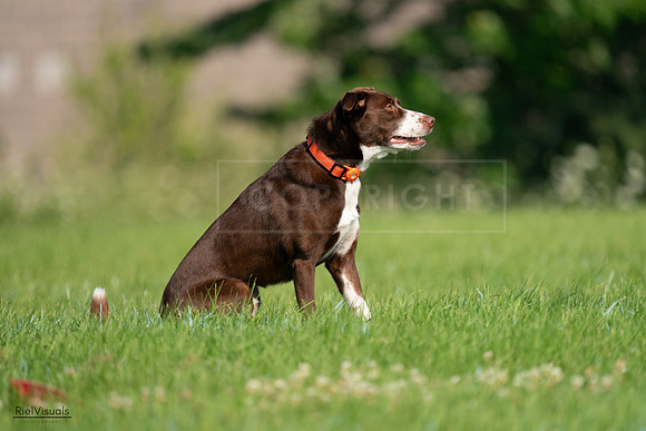RielVisuals_20240727_093621_SJR06896