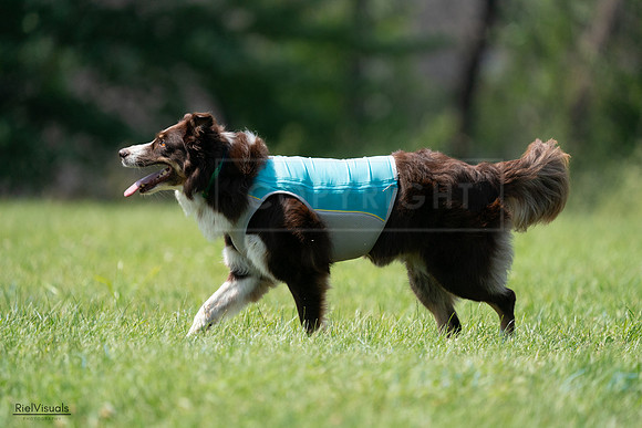 RielVisuals_20240728_144743_SJR09195
