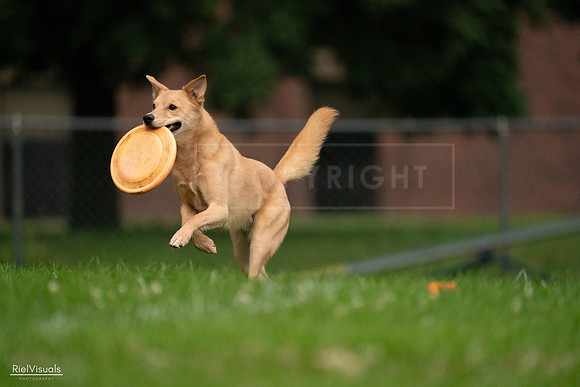 RielVisuals_20240722_191639_SJR00440