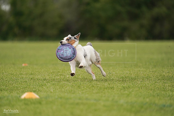 RielVisuals_20240527_140128_SJR01229