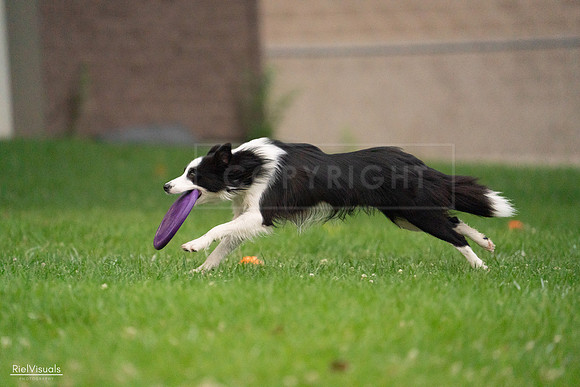 RielVisuals_20240722_194558_SJR02118