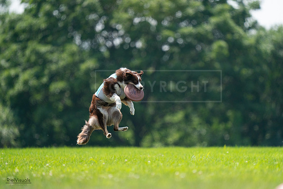 RielVisuals_20240727_130400_SJR06724