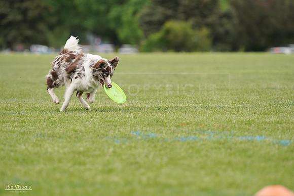 RielVisuals_20240526_110122_SJR00164