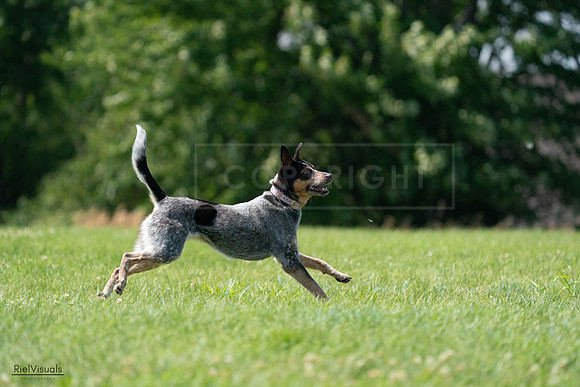 RielVisuals_20240728_143438_SJR08561
